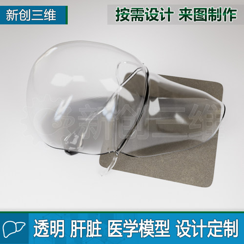3D打印透明肝脏教学教具医学定制
