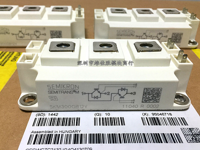 SKM300GB12T4 SKM300GB123D SKM300GB12V SKM300GB128D