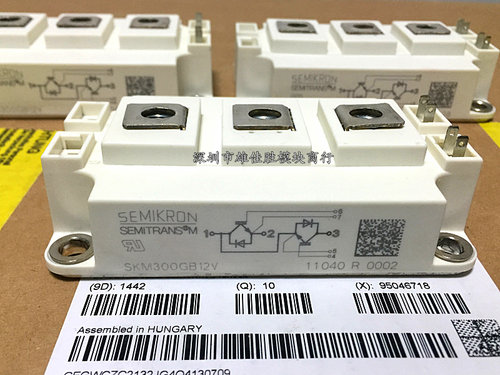 SKM300GB12T4 SKM300GB123D SKM300GB12V SKM300GB128D