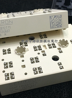 SKIIP32NAB12T49 SKIIP31NAB12T11 30NAB12T10 31NAB12T15 T16