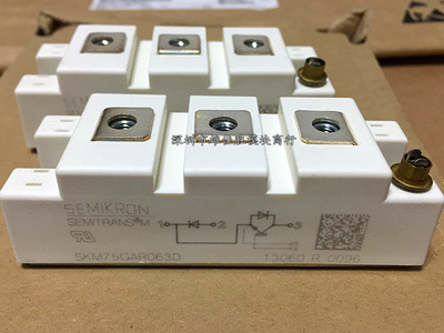 SKM75GAL123D SKM75GAR063D SKM100GAL12T4 BSM75GAL120DN2