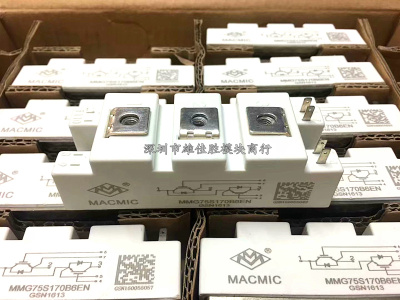 MMG100D170B6EN MMG75S170B6EN MMG100S170B6EN MMG100D170B6EN