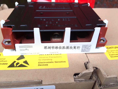 SKIM401TMLI12E4B SKIM601TMLI12E4B SKIM600TML12E4H6 质量保证