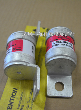 CR6L-300/UL CR2L-10 CR2L-20 CR2L-30 CR2L-50 CR2L-75 保险管