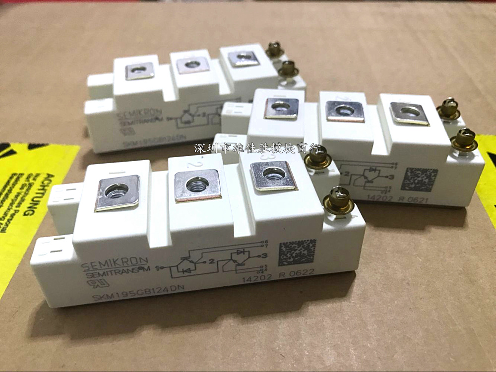 SKM195GB124DN SKM195GB126DN SKM145GB128DN SKM100GB125DN