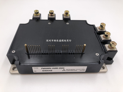 PM300RL1A060 PM300RLA060 PM300CLA060 PM300CL1A060