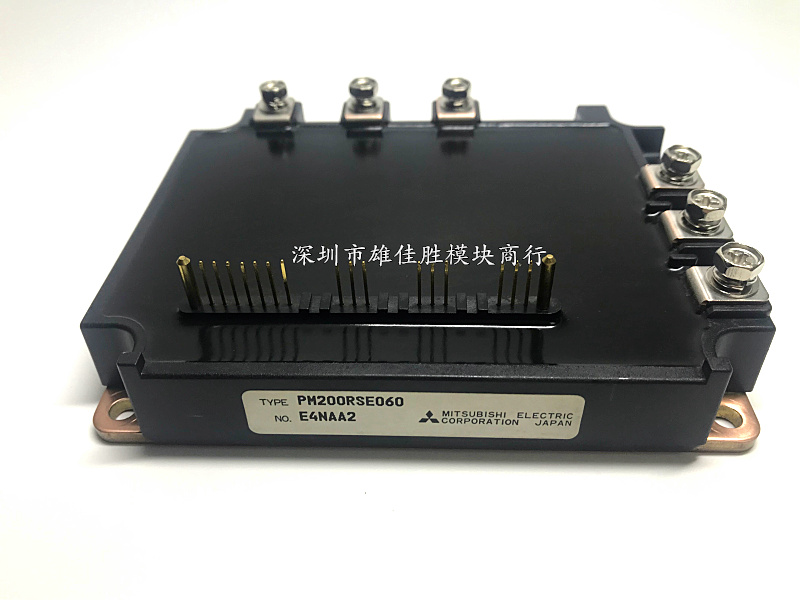 PM200RSE060 PM200RSD060 PM150RSE060 PM100RSE060 PM300RSD060