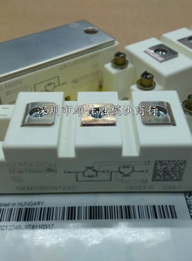 SKM100GB128DE SKM100GB124D SKM100GB125D SKM100GB123D