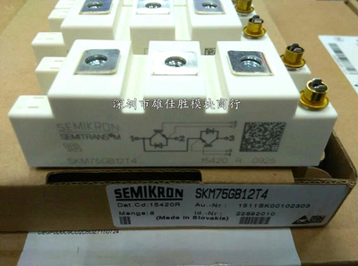 原装 SKM75GB128DE SKM100GB123D SKM75GB12T4