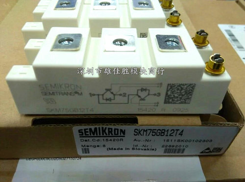 原装 SKM75GB128DE SKM100GB123D SKM75GB12T4