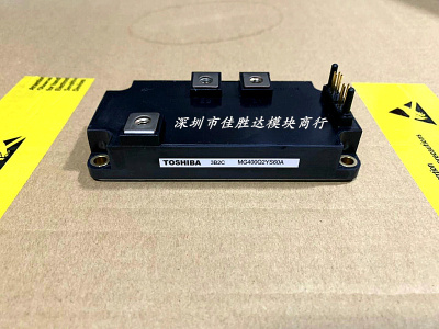 MG600Q2YS60A MG400Q2YS60A MG300Q2YS60A