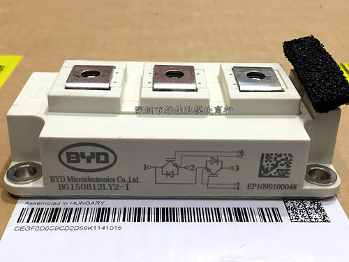 BG150B12LY2-I BG100B12UY2-I BG200B12LY2-I BG300B12UX2-I现货