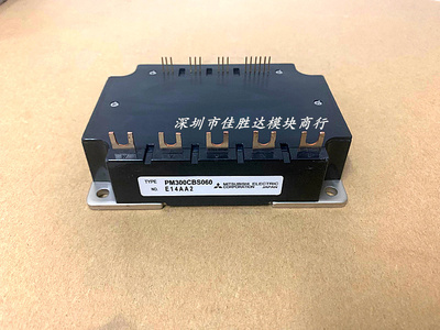 PM200CBS60 PM300CBS060 PM300CS1H060 PM450CS1H060