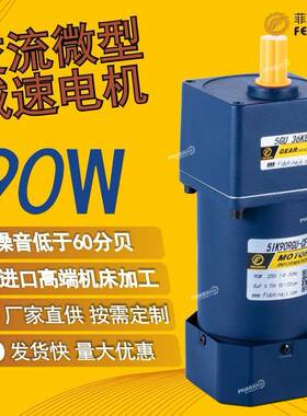 厂家现货直供90W微型交流减速电机ILANDE