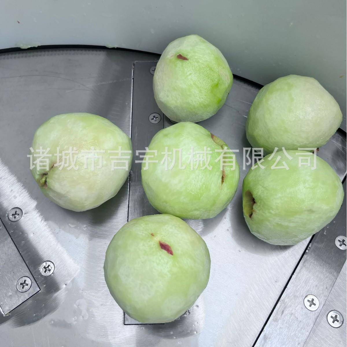 桃子仿手工削皮机毛桃滚筒削皮设备桃子剥皮去皮机