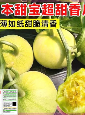 日本甜宝甜瓜种子薄皮香瓜种籽