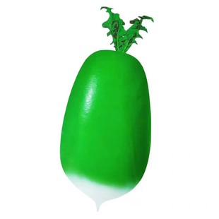 791青萝卜种子四季播蔬菜罗卜青皮萝卜半白甜脆型水果半青籽种孑J