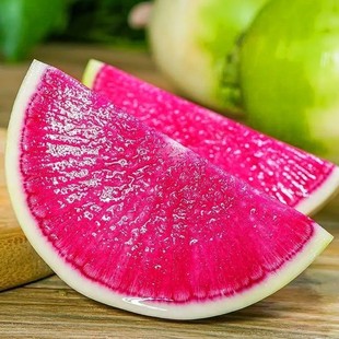 甜脆红心水果萝卜种子籽四季播穿心红萝卜种生吃青皮红瓤萝卜种J