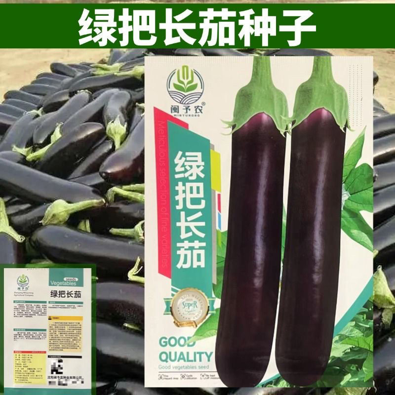 绿把长茄子种子黑墨长茄子种籽大紫色茄籽种孑苗农家庭院春秋种子