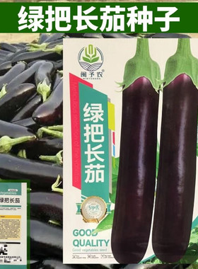 绿把长茄子种子黑墨长茄子种籽