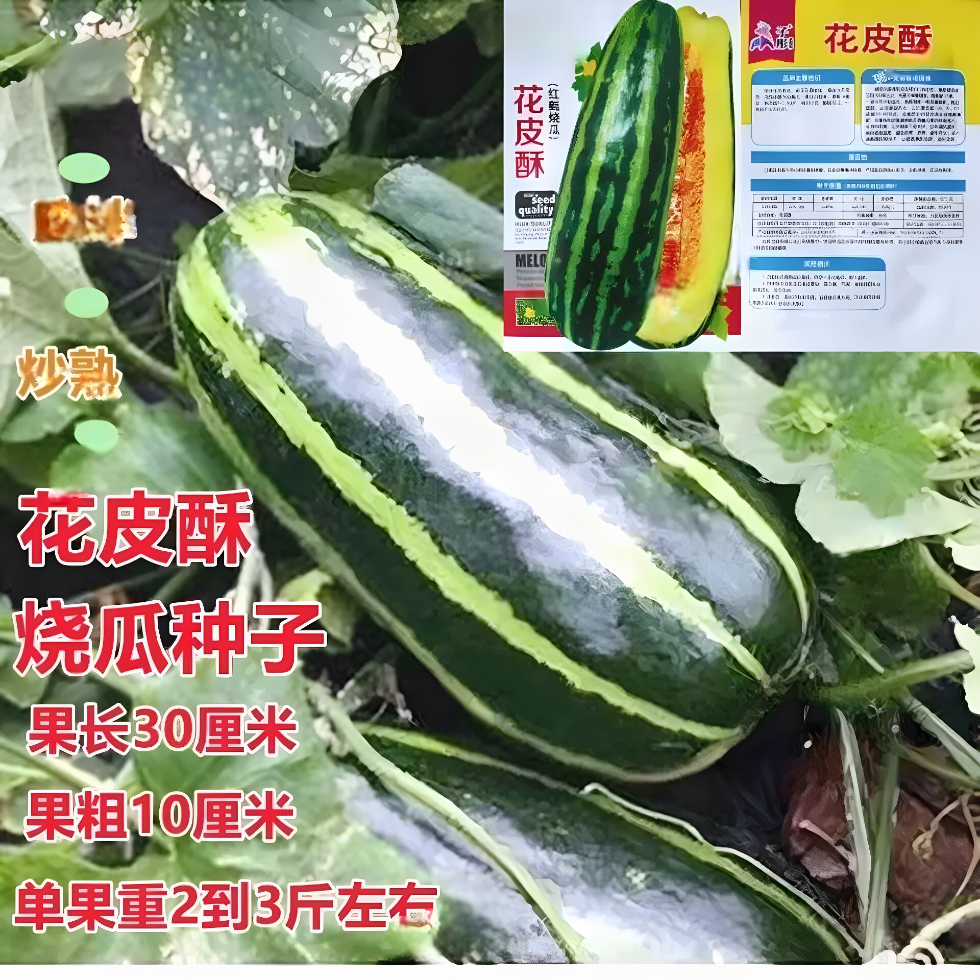 花皮酥菜瓜种籽烧瓜梢瓜烧瓜酥种籽花皮甜瓜种子春秋播香瓜种子