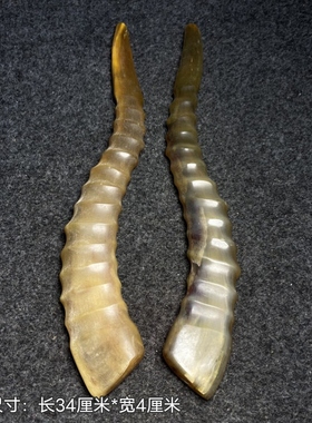 外蒙羊角实心尖手把件摆件透明带血色通天眼坚韧超长高颜值