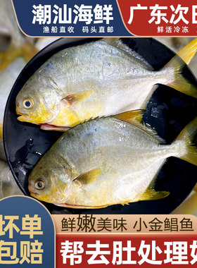 小金鲳鱼3-5条处理前500g