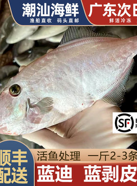蓝剥皮鱼1斤2-3条，2斤3条