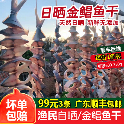 渔民自晒广东特产海鲜金鲳鱼干