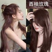 西柚玫瑰色染发剂植物天然无刺激纯正品 牌2025流行色染发膏女泡沫