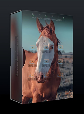 乌托邦电影青橙色调Lightroom像素蛋糕PS Camera raw LR预设滤镜