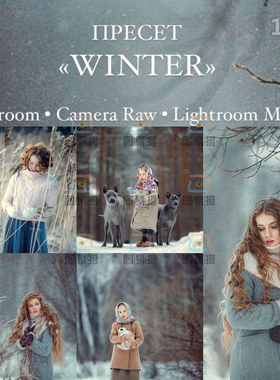 唯美冬季人像像素蛋糕PS Camera raw后期调色Lightroom滤镜LR预设