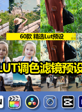 Blackmagic camera lut预设剪映pr达芬奇fcpx调色滤镜下载素材709