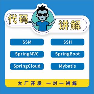 java程序讲解代码远程一对一指导springboot项目注释答疑调试修改