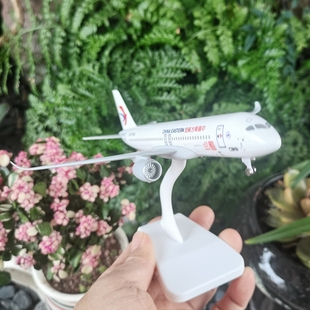 商飞C919中国东方航空飞机模型带轮子带灯仿真民航客机礼品摆件