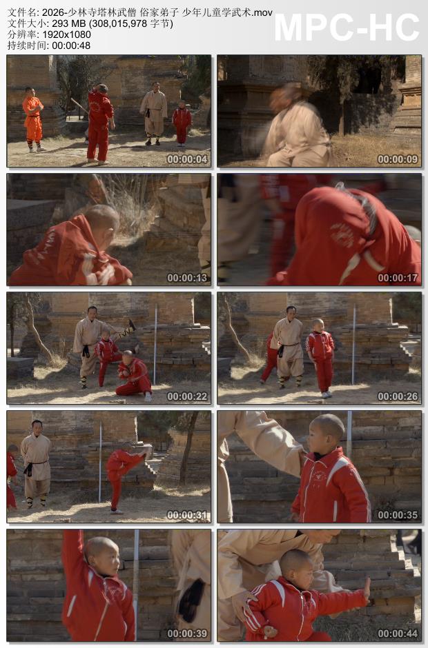 少林寺塔林武僧俗家弟子视频 少年儿童学武术 高清实拍素材
