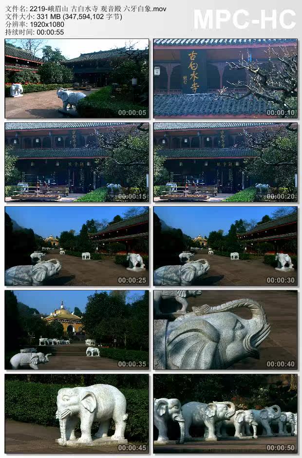 峨眉山古白水寺观音殿六牙白象 高清实拍视频素材