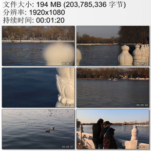 北京什刹海湖面游船 两只鸭子 高清实拍视频素材