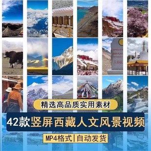 竖屏西藏人文风光美景拉萨布达拉宫青藏高原雪山藏民高清视频素材