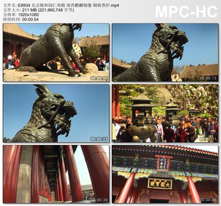 北京颐和园仁寿殿瑞兽麒麟铜像 铜铸香炉 实拍短视剪辑素材