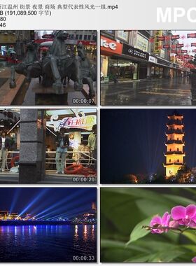 浙江温州街景 夜景商场 典型代表性风光一组 高清视频剪辑素材