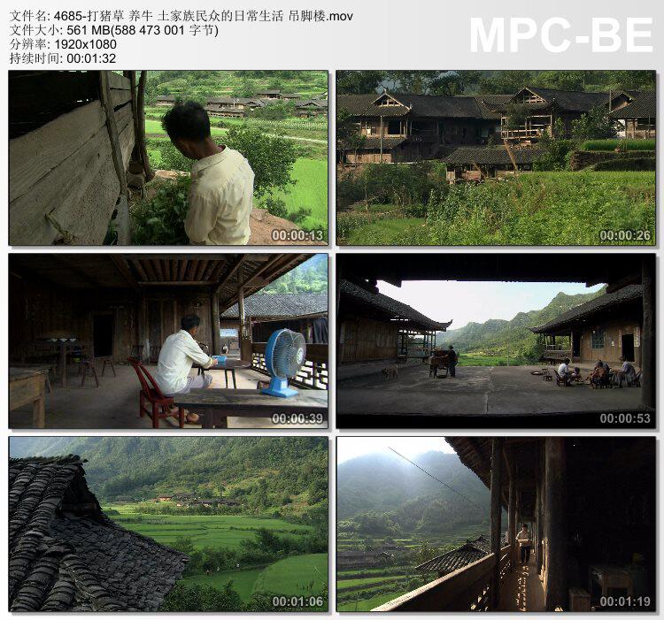 打猪草养牛土家族民众的日常生活 吊脚楼 实拍视频素材