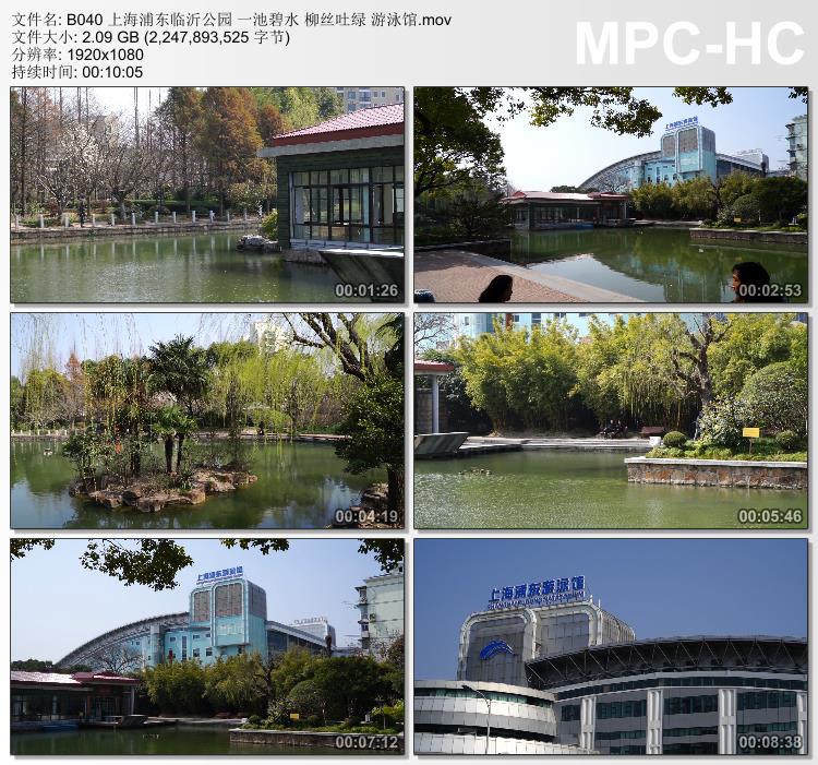 上海浦东临沂公园一池碧水柳丝吐绿 游泳馆 高清实拍视频素材