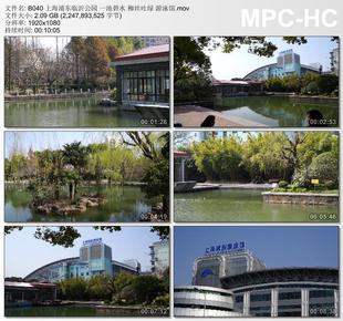 上海浦东临沂公园一池碧水柳丝吐绿 游泳馆 高清实拍视频素材