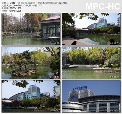 上海浦东临沂公园一池碧水柳丝吐绿 游泳馆 高清实拍视频素材