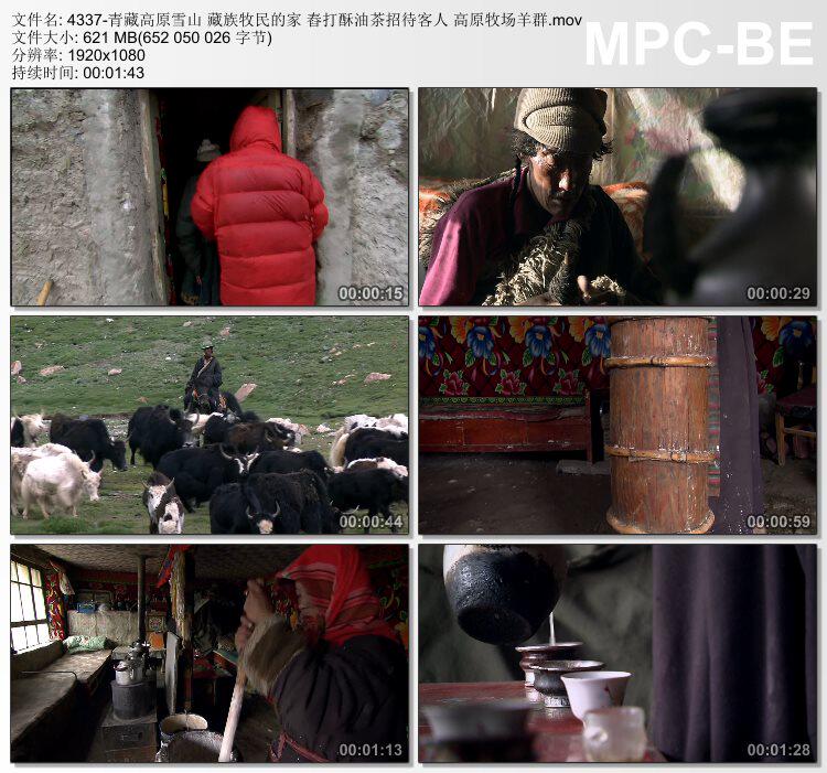 青藏高原 雪山藏族牧民的家舂打酥油茶招待客人 实拍视频素材