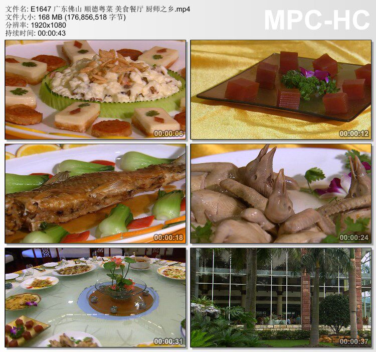 广东佛山 顺德粤菜 美食餐厅 厨师之乡 高清实拍视频素材