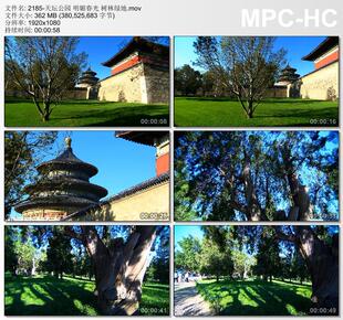 天坛公园明媚春光树林绿地 实拍动态视频剪辑素材