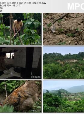 农家厨房农民锄地干农活实拍 老母鸡 山坡山村 高清视频剪辑素材