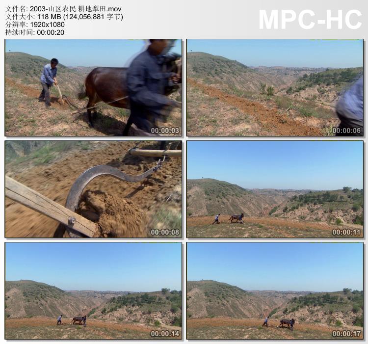 山区农民耕地犁田 实拍视频素材